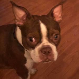 Meet your Posher, Dave